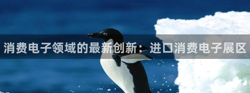AG凯发|消费电子领域的最新创新:进口消费电子展区